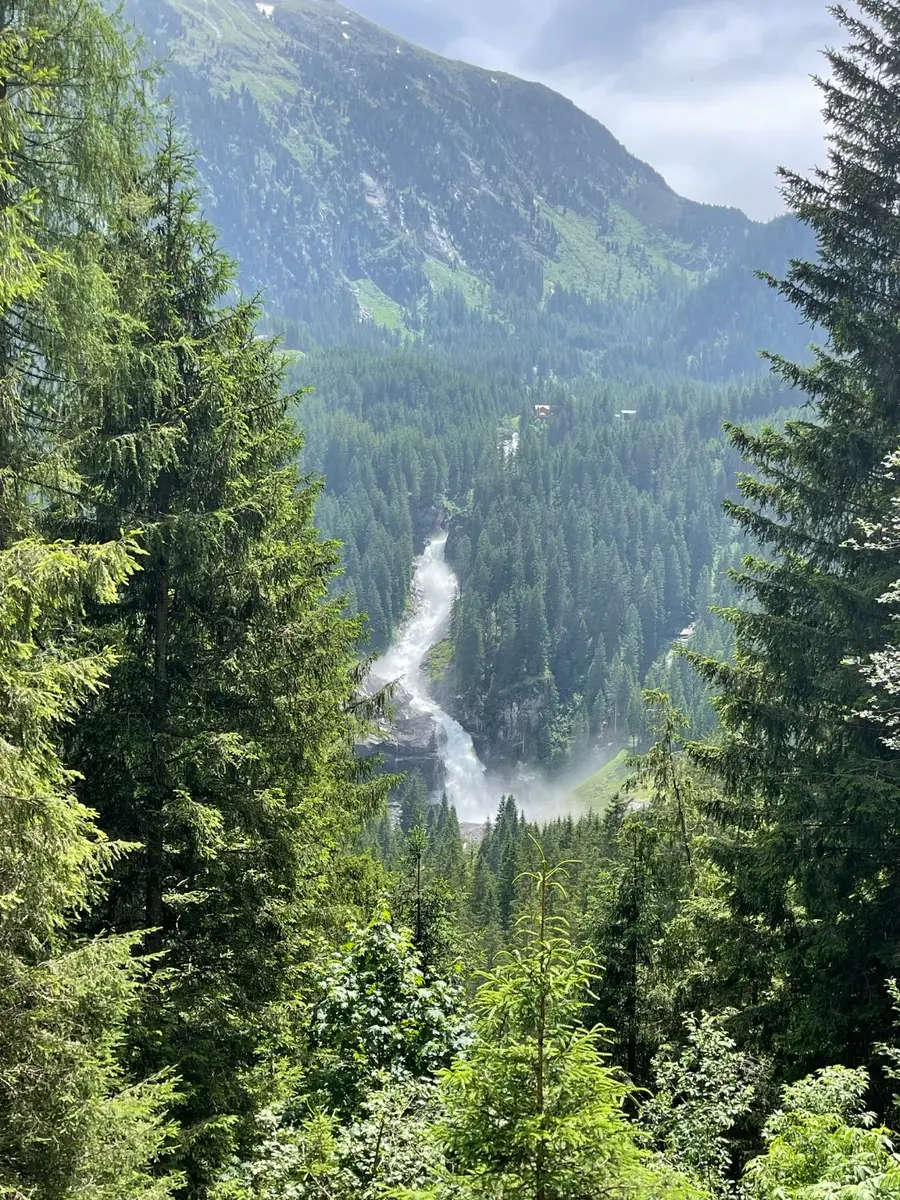 The Krimml Waterfalls seen through a gap in the spruce forest, the white water dropping in tiers down a green mountainside in the Hohe Tauern